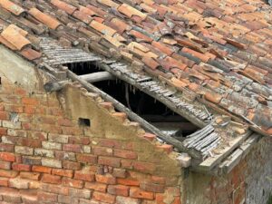 WhatsApp Image 2025-12-14 at 7.24.01 AM (4)