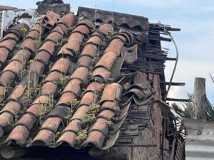 WhatsApp Image 2025-12-14 at 7.24.03 AM (3)