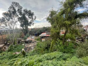 WhatsApp Image 2025-12-14 at 7.24.04 AM