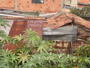 WhatsApp Image 2025-12-14 at 7.24.04 AM (7)