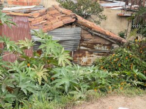 WhatsApp Image 2025-12-14 at 7.24.04 AM (8)