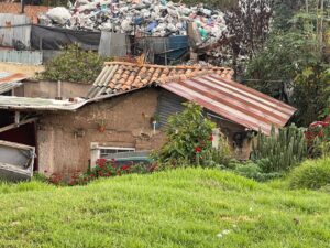 WhatsApp Image 2025-12-14 at 7.24.05 AM (1)